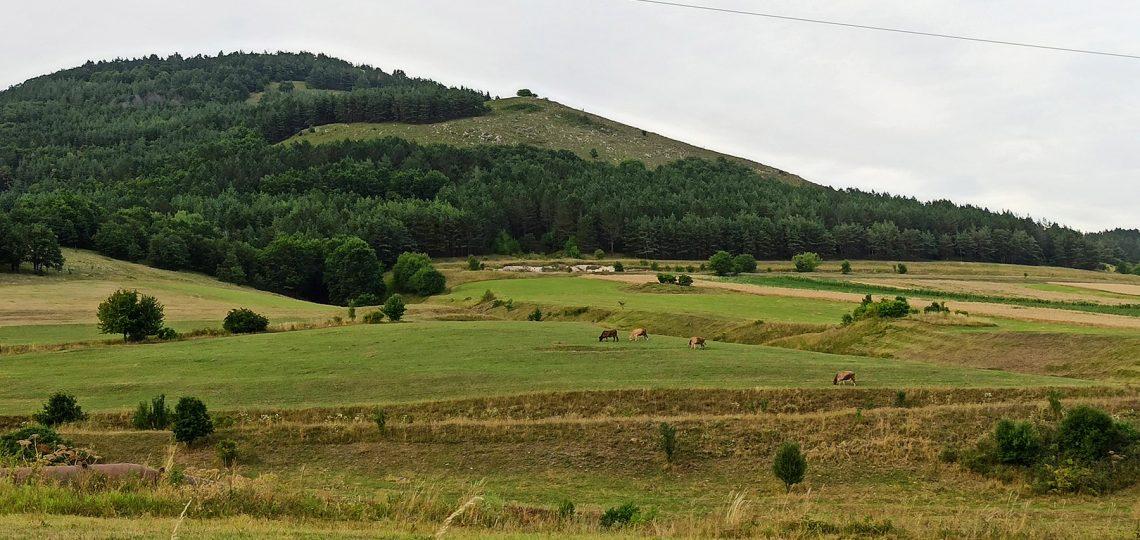 The surrounding fields of Lejan village